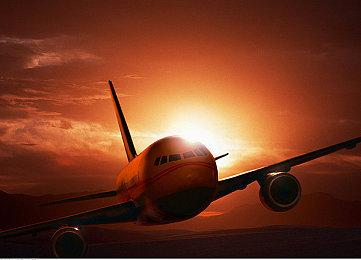 UE5引擎开发 生存游戏新作《Rooted》公布原型视频